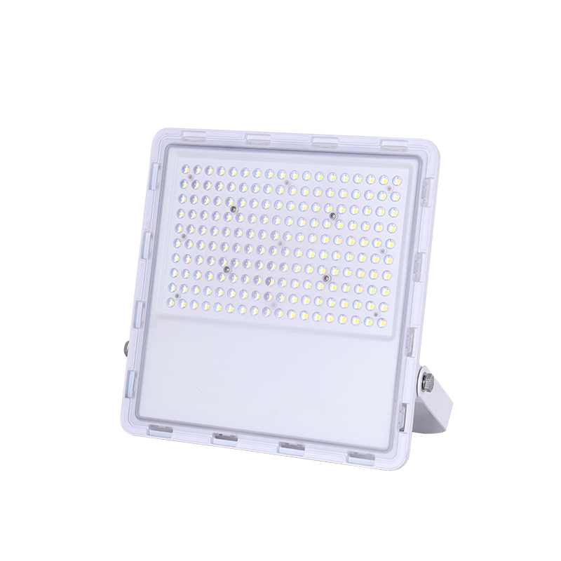 Canopus flood light