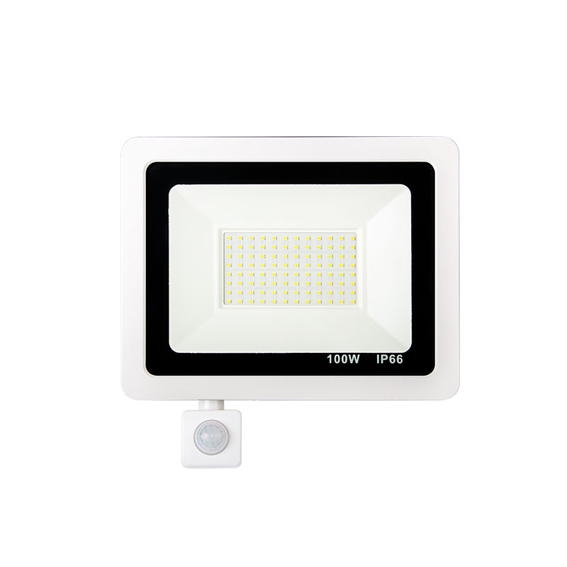 Apple flood light