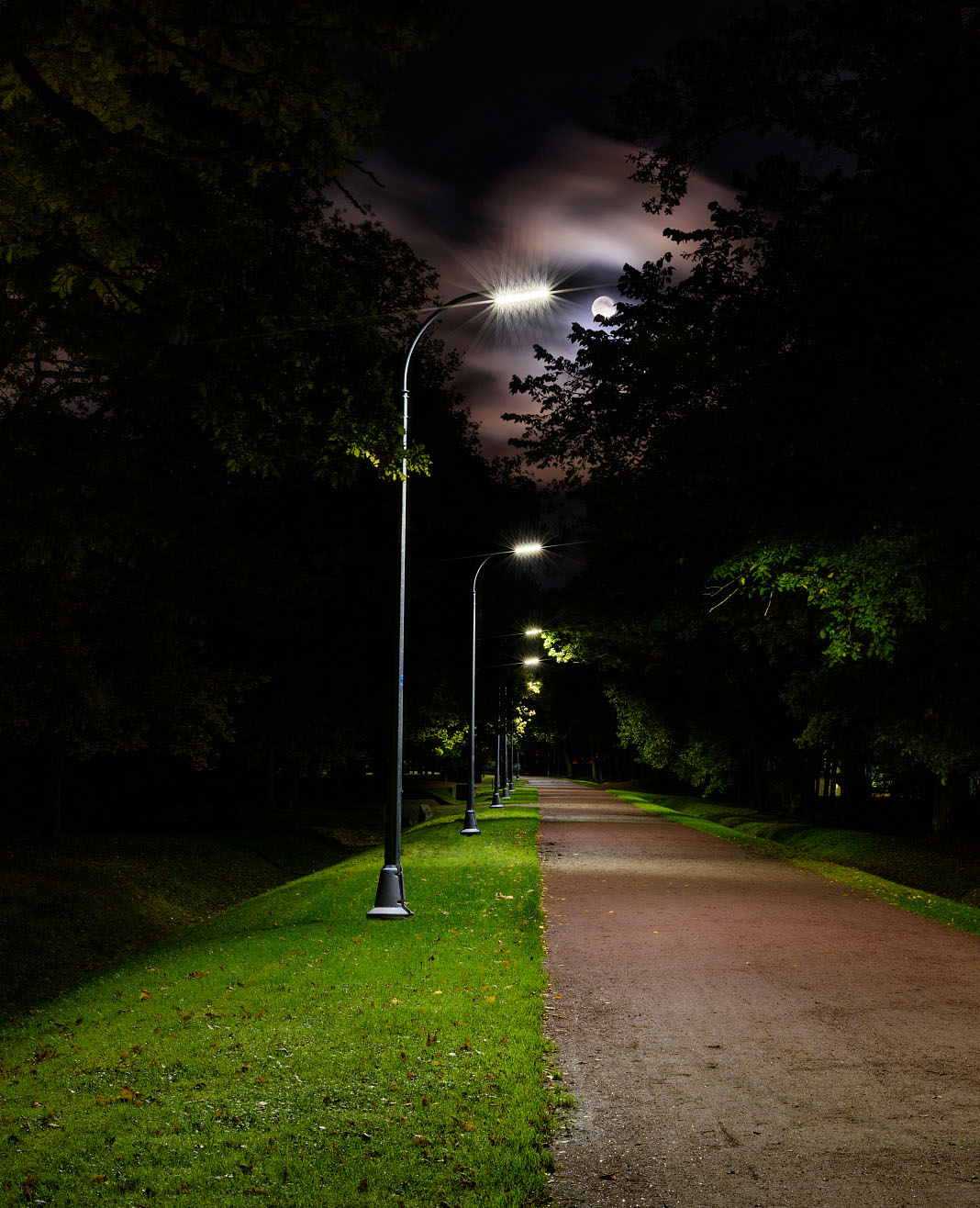 LED Street light